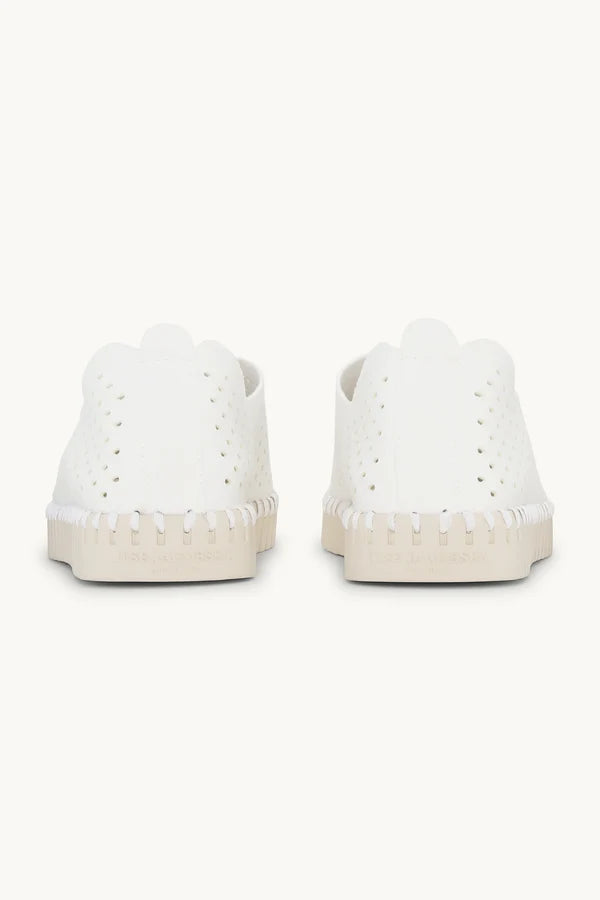 Tulip Shoes 2 colours