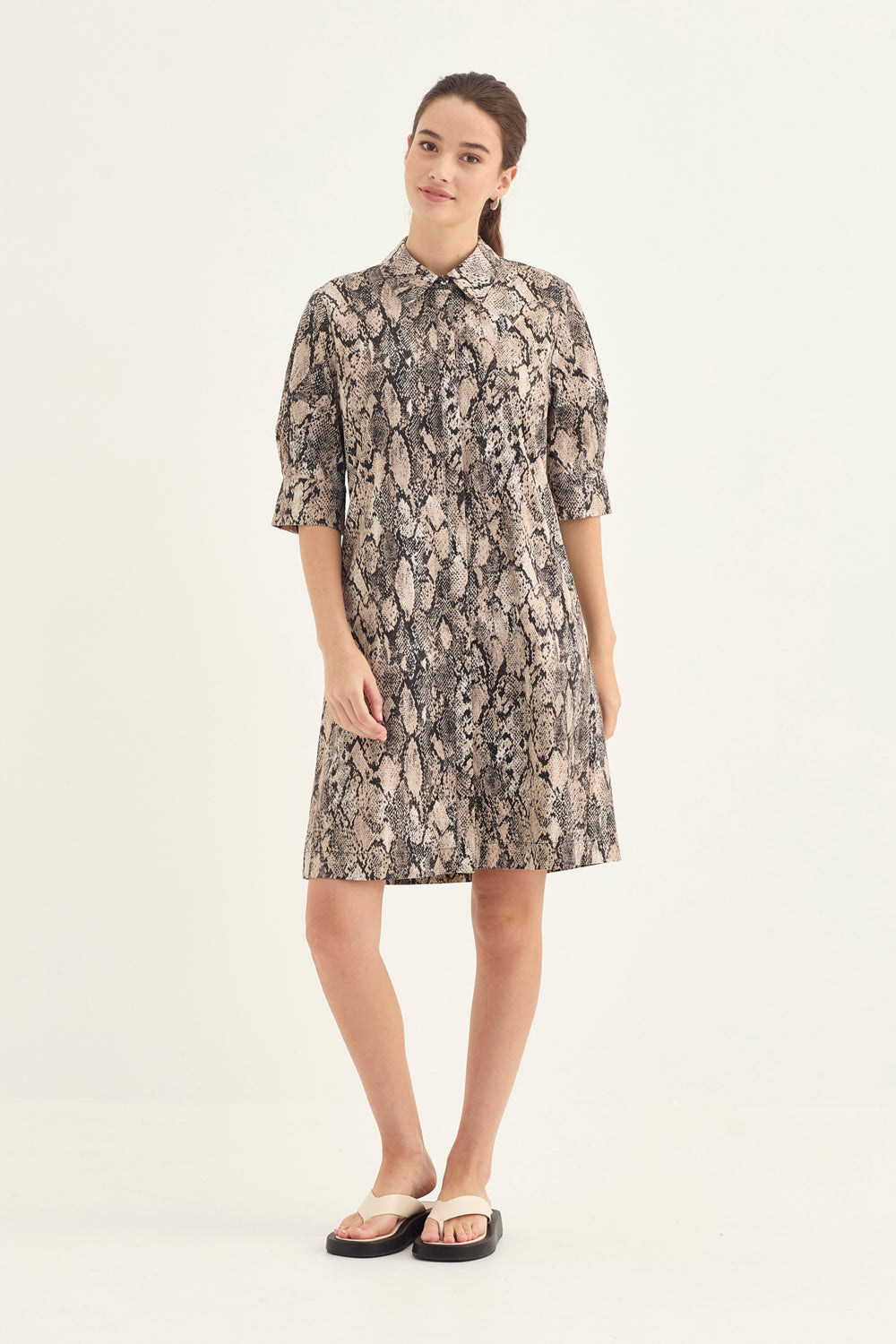 Acrobat Serpent Nori Dress