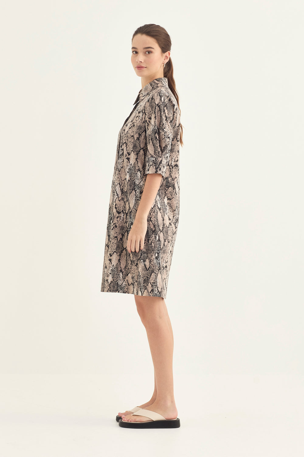 Acrobat Serpent Nori Dress