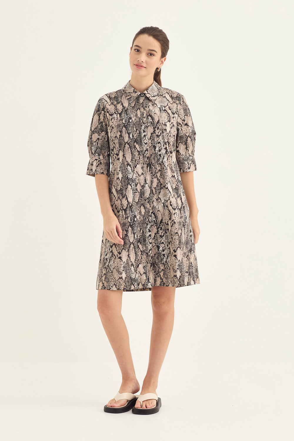 Acrobat Serpent Nori Dress