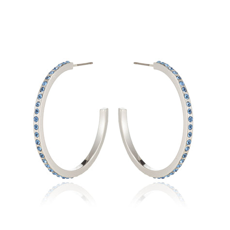 Blue Scarab Loop Earrings